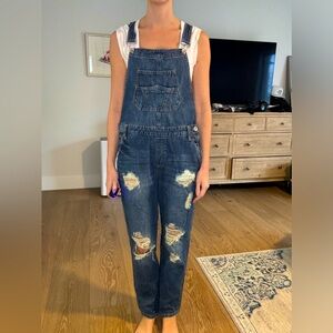Vici Distressed Denim Overalls
